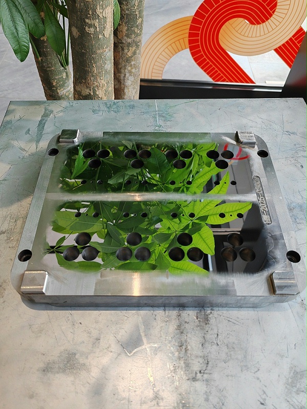 微信图片_20251022101211_207_9 微信图片_20251022101211_207_9