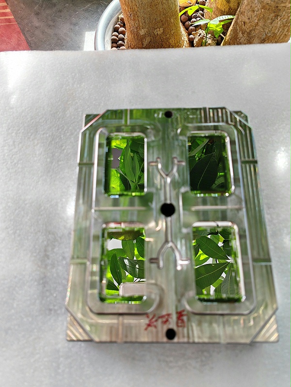 微信图片_20241212102459